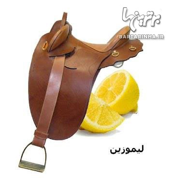 www.ebhamlinks.com | عکسهای خنده دار غلط نامه دهخدا www.ebhamlinks.com | عکسهای خنده دار غلط نامه دهخدا