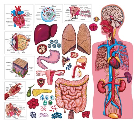 طب مذهبی دکتررحمت سخنی Dr.Rahmat Sokhani طب مذهبی دکتررحمت سخنی Dr.Rahmat Sokhani