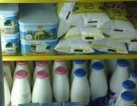 شیر 17005.jpg