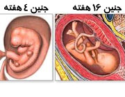 علائمی که نشان می دهند باردارید