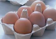 ارائه راهکارهایی به وزارت صنعت برای تنظیم بازار تخممرغ