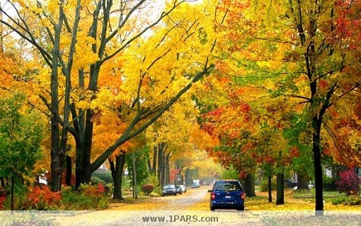 autumn3