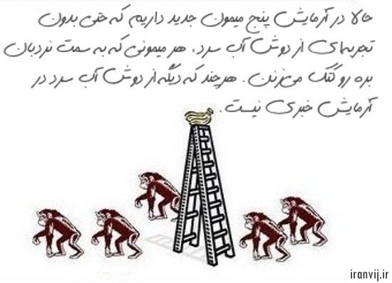 گروه اینترنتی ایران ویج