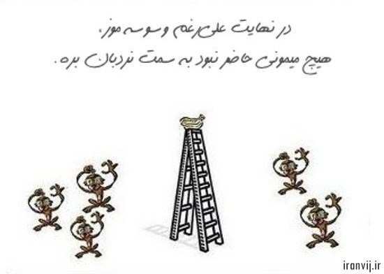 گروه اینترنتی ایران ویج