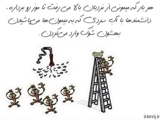 گروه اینترنتی ایران ویج