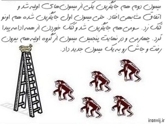 گروه اینترنتی ایران ویج