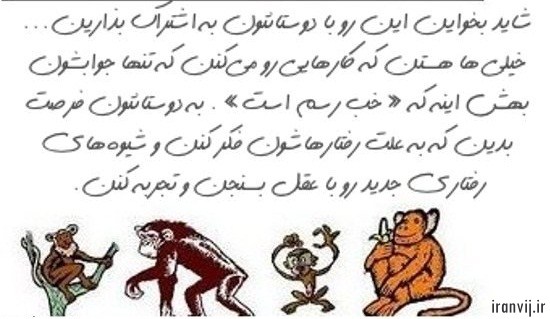گروه اینترنتی ایران ویج