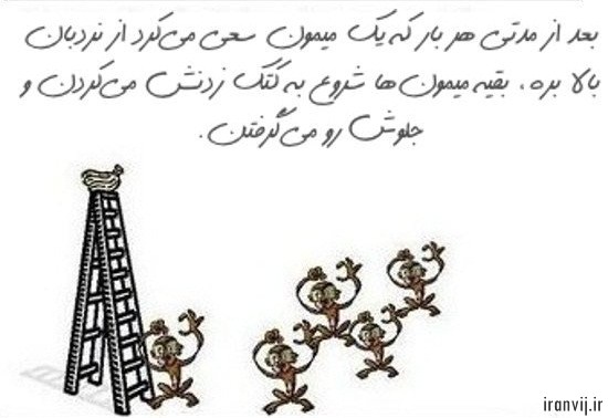 گروه اینترنتی ایران ویج