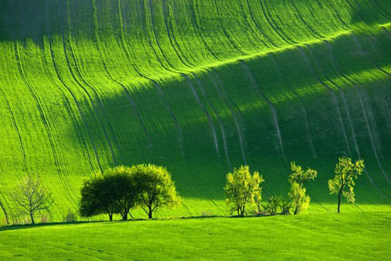 زیبایی های کم نظیر مناظر سرسبز