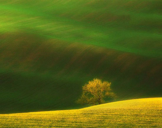 زیبایی های کم نظیر مناظر سرسبز