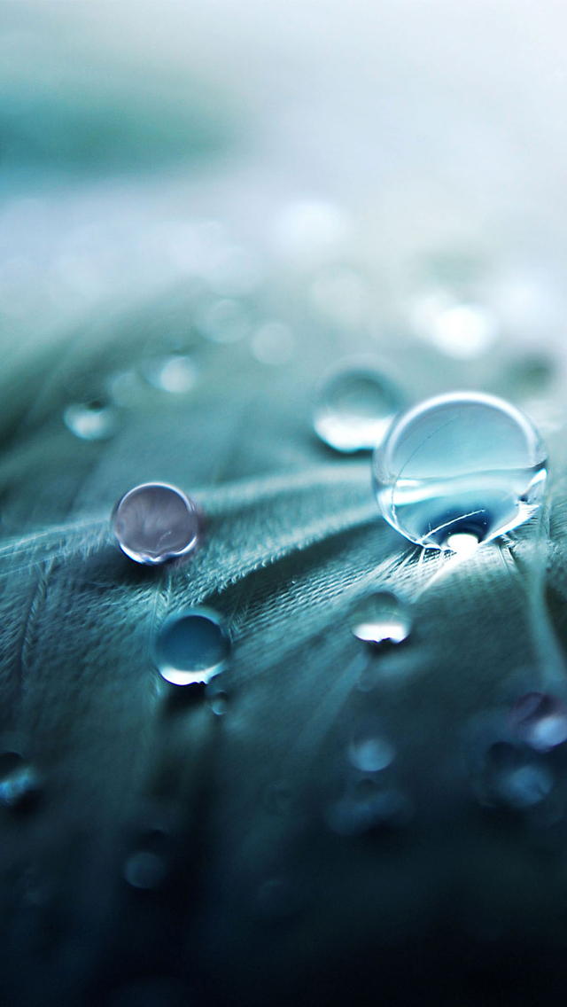 آیفون 5 Download iPhone5 Retina HD Wallpapers 39 والپیپرهای iphone 5
