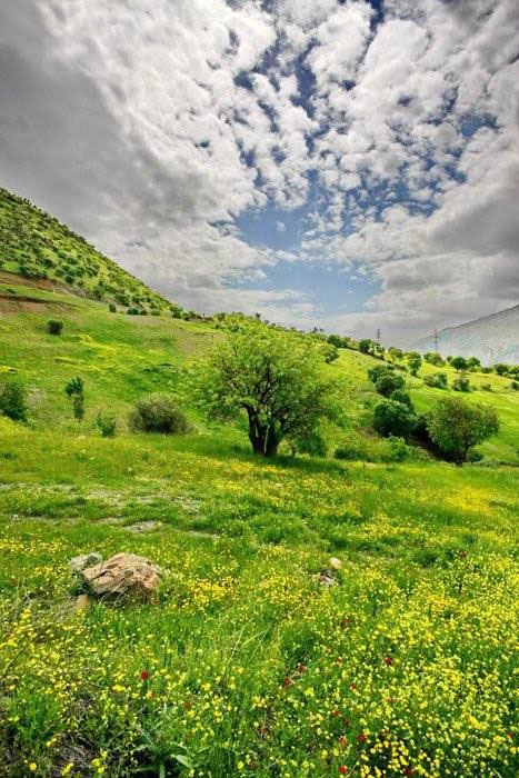 عکس هایی از استان زیبای کردستان