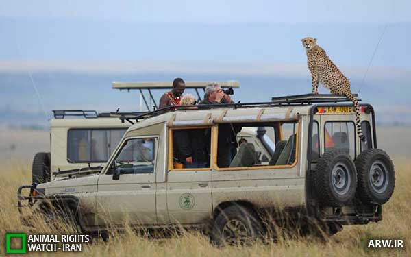 Animal-Rights-Watch--ARW-1-798 Animal-Rights-Watch--ARW-1-798