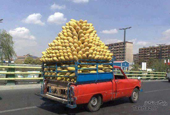 عکس های خنده دار از سوژه های ایرانی (60) www.9ktenews.com عکس های خنده دار از سوژه های ایرانی (60) www.9ktenews.com