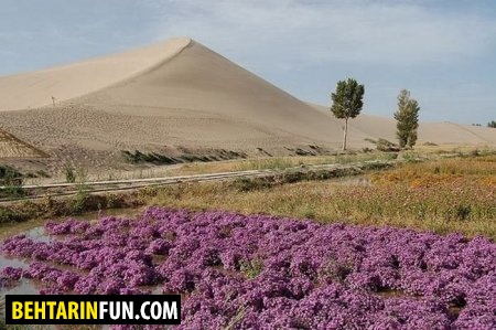 دریاچه ای در دل کویر دریاچه ای در دل کویر