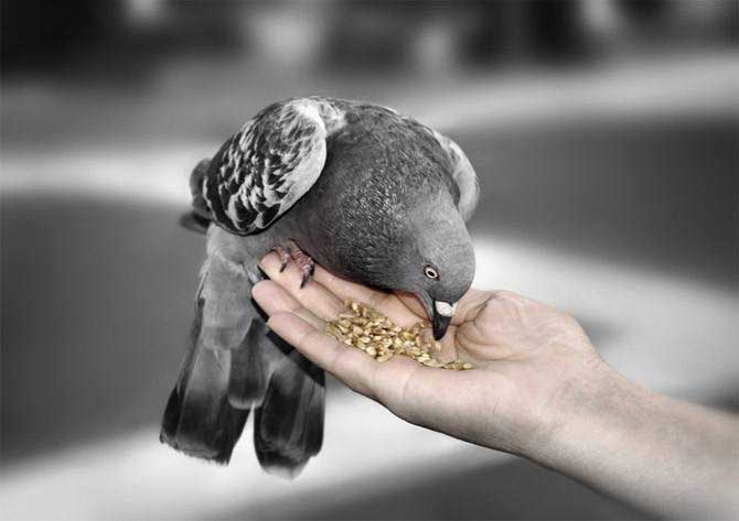 تصاویر زیبا از لحظات زندگی
