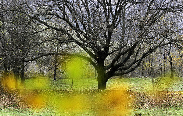 عکس های مناظر چشم نواز کلیبر