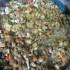 pickled-rashti