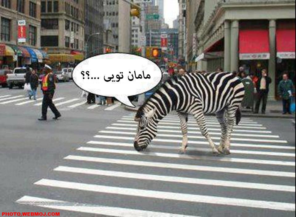لبخند بزنید؛ به آنهایی فکر کنید که با خواندن نوشته هایتان لبخند می زنند