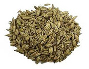 رازیانه