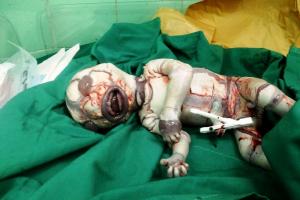 https://www.momtaznews.com/wp-content/uploads/2014/09/0bf369f95e07accdbe7ca1a07c496a23.jpg