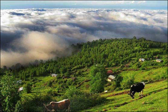 مناظری از شمال ایران + عکس