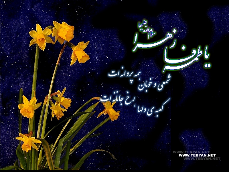 عکس نوشته یا فاطمه زهرا