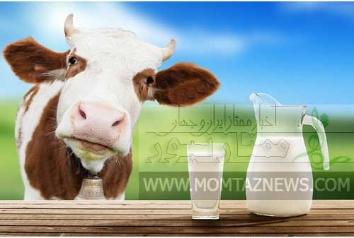 قیمت شیرخام 