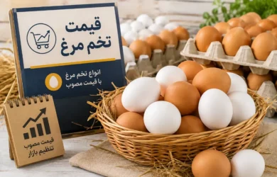 قیمت تخم مرغ امروز