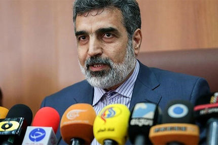 توسعه همکاری‌های هسته‌ای از مهمترین محورهای رایزنی رئیس جمهور و پوتین بود