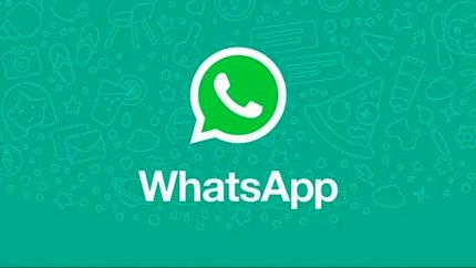 بروزرسانی جدید واتس&zwnj;اپ این بار آپدیت نظرسنجی&zwnj;ها و کپشن پست&zwnj;ها