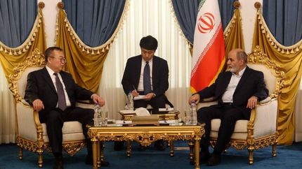 تقدیر وزیر حزب کمونیست چین از نقش جمهوری اسلامی ایران در حفظ صلح و ثبات منطقه&zwnj;ای