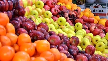 نیمی از مرکبات و سیب رختی در سردخانهها دپو شدهاست