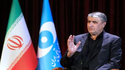 بازدهی بالای نیروگاه بوشهر توسط انجمن نیروگاه&zwnj;های اتمی دنیا تایید شده است