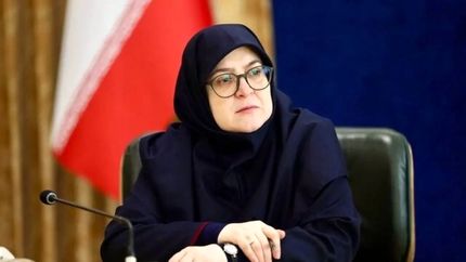سخنگوی دولت: با جدیت در مسیر اصلاحات ساختاری حرکت می&zwnj;کنیم