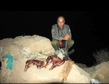 یکی از بهترین محیط&zwnj;بانان کشور در کوه خائیز به شهادت رسید