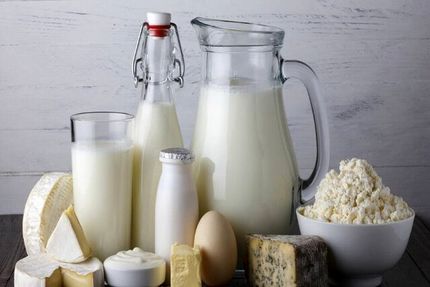 یک مقام وزارت بهداشت: از لبنیات پاستوریزه بجای محلی استفاده کنید