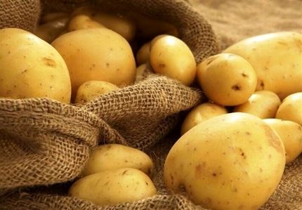 قیمت سیب زمینی متعادل شد