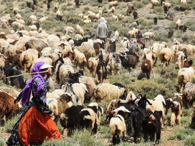 تکمیل فاز دوم اطلس ملی عشایر آغاز شد تکمیل فاز دوم اطلس ملی عشایر آغاز شد