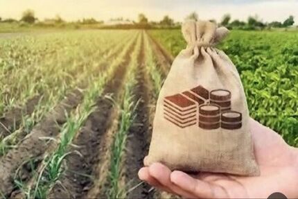 افزایش ۱۰۰ برابری قبض ماهانه یک چاه کشاورزی / کشاورزان در مخمصه افزایش ۱۰۰ برابری قبض ماهانه یک چاه کشاورزی / کشاورزان در مخمصه