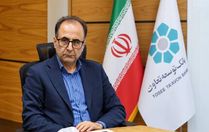 حسن شریفی قائم‌مقام مدیرعامل بانک توسعه تعاون شد
