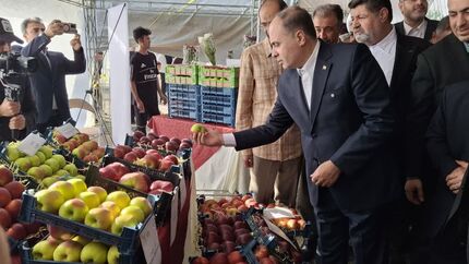 آغاز چهارمین جشنواره سیب دماوند آغاز چهارمین جشنواره سیب دماوند