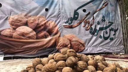 چهارمین جشنواره ملی گردو در کلور شهرستان خلخال برگزار خواهدشد